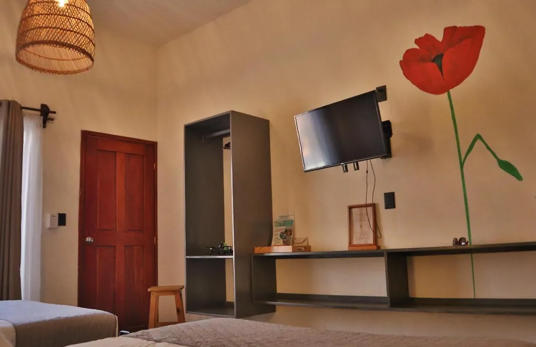 Hotel Sur Bacalar-1
